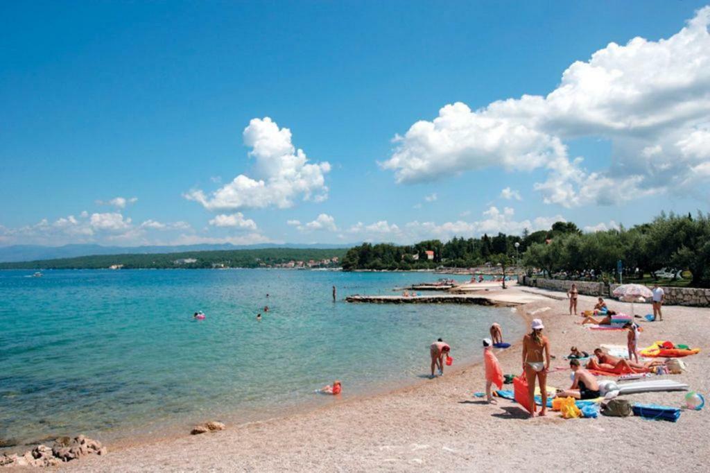 Lavanda Gabonjin Kültér fotó
